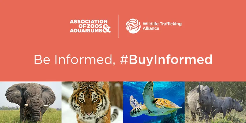 Wildlife Trafficking Alliance